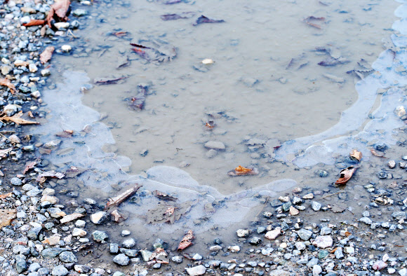 22일 오전 강원 태백시 만항재 도로변에 얼음이 얼어 있다. 2020.4.22 연합뉴스