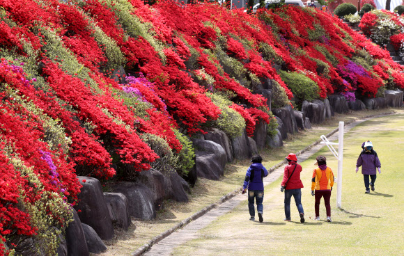 22일 오후 광주 북구 동강대학교에서 시민들이 붉은 영산홍이 만개한 교정 주변을 산책하고 있다. 2020.4.22  연합뉴스