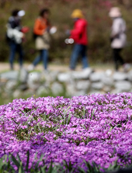 봄꽃 감상하며 수목원 산책