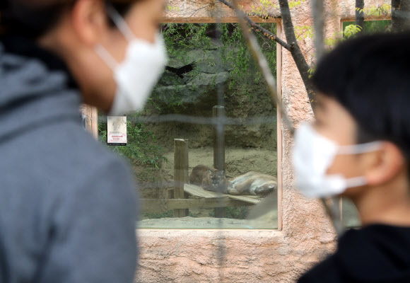먼발치에서 바라보는 동물원