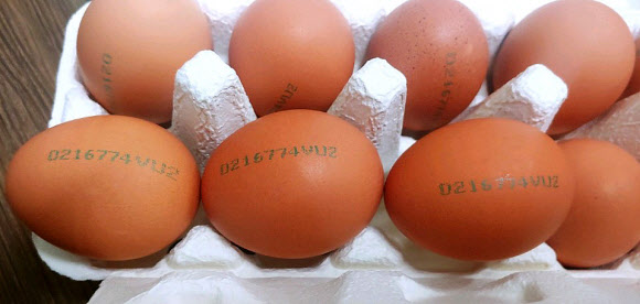 가정용 판매 달걀  서울신문 DB