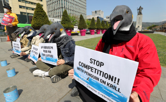 내일은 세계 펭귄의 날