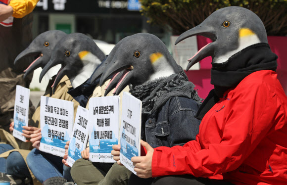 내일은 세계 펭귄의 날