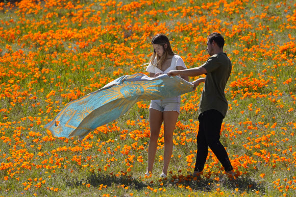 신종 코로나바이러스 감염증(코로나19)의 세계적 대유행이 계속되고 있는 가운데 24일(현지시간) 미국 캘리포니아주 랭커스터에서 시민들이 꽃이 핀 언덕을 지나며 자연을 즐기고 있다. AP 연합뉴스