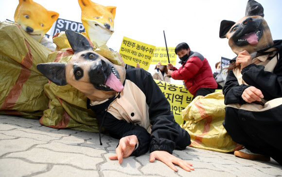 ‘반려견, 식용견 구분 발언’ 사과 촉구 퍼포먼스