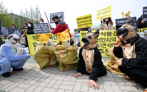 ‘세상에 식용견 반려견은 따로 없다’