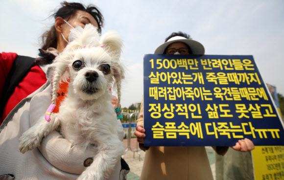 ‘견권은 모두 평등하다’