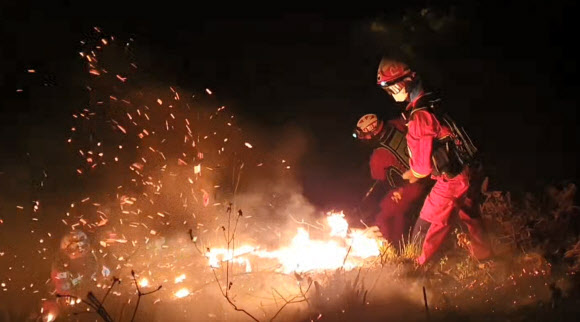 야간에도 멈출수 없는 진화작업