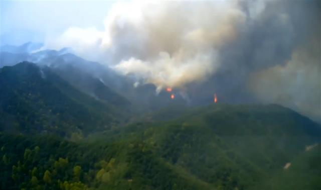 강한 바람으로 다시 불붙은 안동 산불