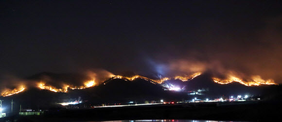 지난 25일 밤 남후면 단호리 일대로 번진 산불이 타오르고 있는 모습. 안동 연합뉴스