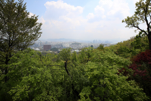 ‘신록에 물들다’