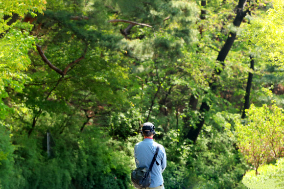 봄이 오는 소리