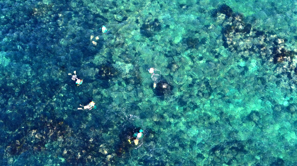 제주 해녀의 아침