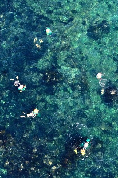 제주 해녀의 아침