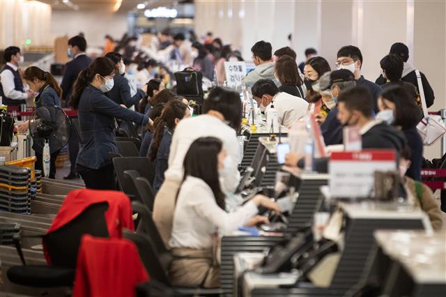 오랜만에 붐비는 항공사 체크인 카운터