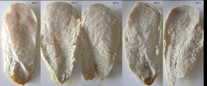 온도에 따른 닭고기 표면의 변화