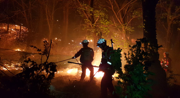 강원 고성 산불…화마와의 사투