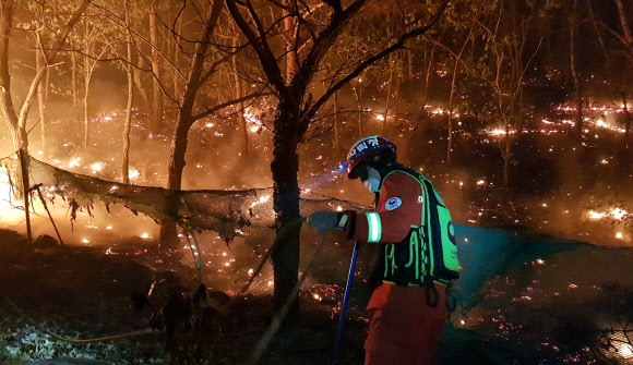 화목 보일러의 부실시공이 원인이 된 지난 5월 강원 고성 산불. 산림청 산림항공본부 제공