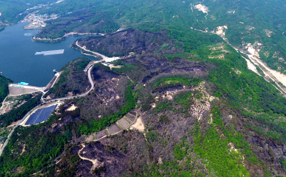 강원 고성 산불의 흔적