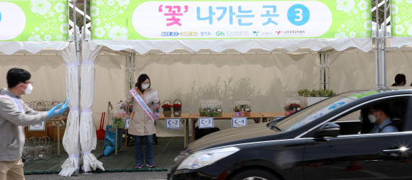 카네이션, 차에서 내리지 말고 사세요