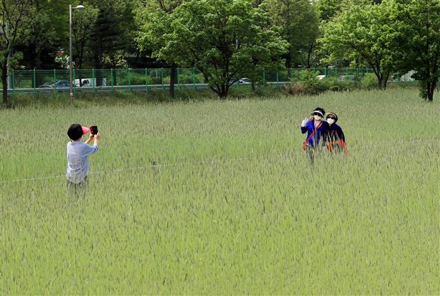 초여름 날씨 ‘청보리밭 나들이’