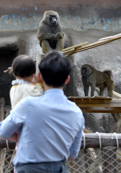 3일 서울 어린이 대공원에서 시민들이 1일부터 개방된 실외 동물원을 둘러보고 있다. 2020.5.3 박지환기자 popocar@seoul.co.kr