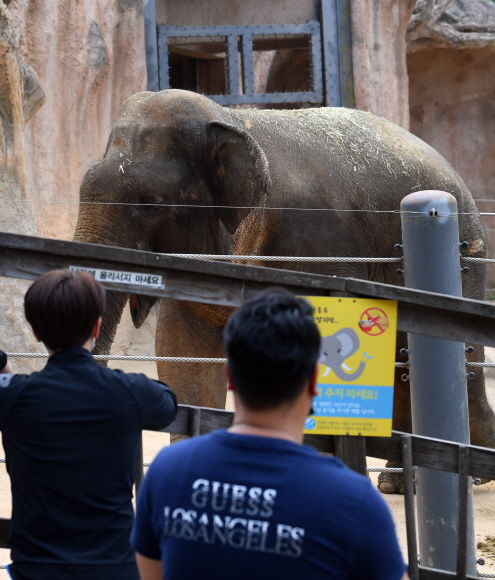 3일 서울 어린이 대공원에서 시민들이 1일부터 개방된 실외 동물원을 둘러보고 있다. 2020.5.3 박지환기자 popocar@seoul.co.kr