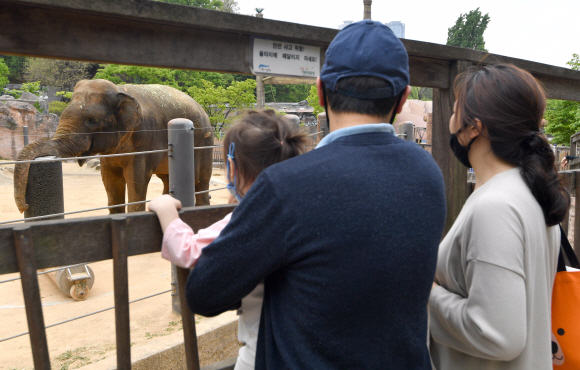 3일 서울 어린이 대공원에서 시민들이 1일부터 개방된 실외 동물원을 둘러보고 있다. 2020.5.3 박지환기자 popocar@seoul.co.kr