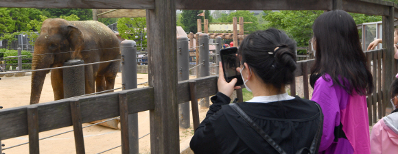 3일 서울 어린이 대공원에서 시민들이 1일부터 개방된 실외 동물원을 둘러보고 있다. 2020.5.3 박지환기자 popocar@seoul.co.kr