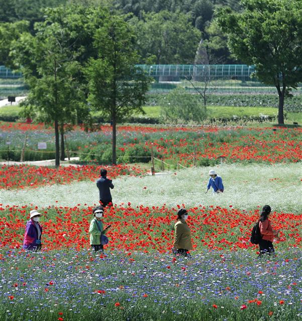봄꽃 구경도 ‘거리 두고’