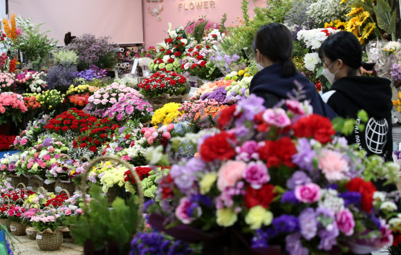 카네이션 구입하는 시민들