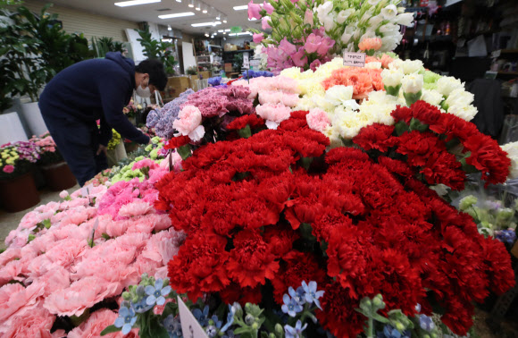 어버이날 앞두고 카네이션 구입