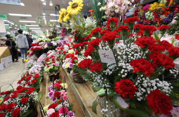 양재꽃시장은 어버이날 앞두고 온통 카네이션