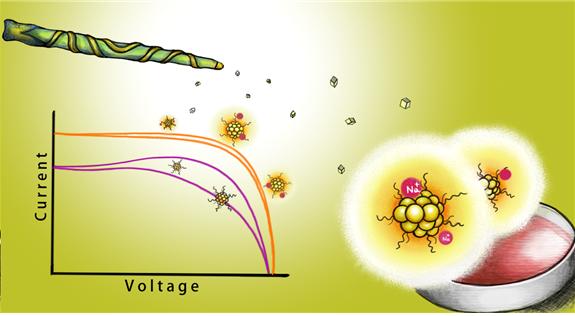 나트륨 이온으로 금나노클러스터 태양전지 효율 향상
