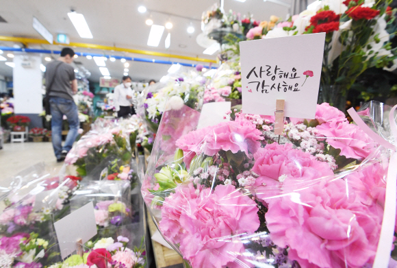 어버이날을 하루 앞둔 7일 서울 강남구 양재꽃시장을 찾은 시민들이 카네이션을 살펴보고 있다. 2020.5.7 오장환 기자 5zzang@seoul.co.kr