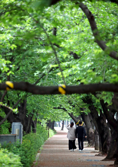 생활방역 전환, 거리 두기 실천하며 산책