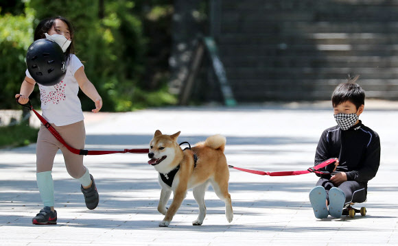 강아지와 함께 즐거운 보드썰매