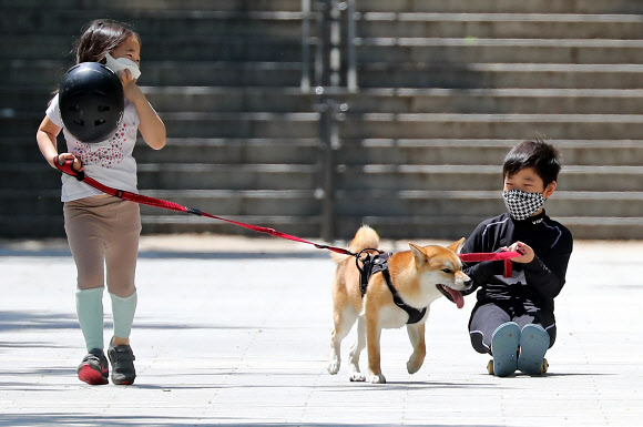 강아지랑 함께 보드썰매