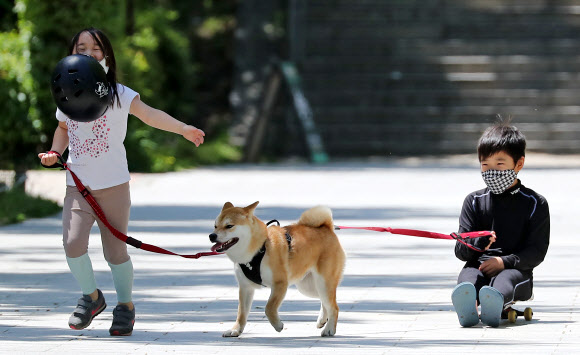 강아지랑 함께 보드썰매
