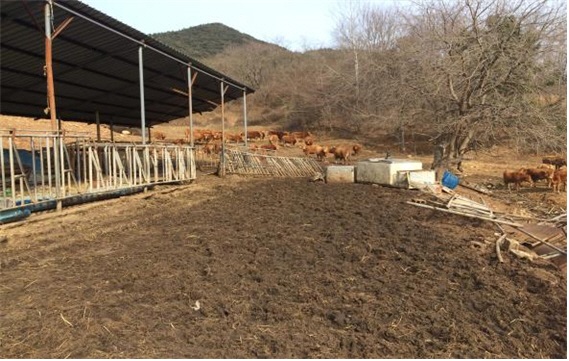 하동군 축산시설 악취발생 집중 관리 단속