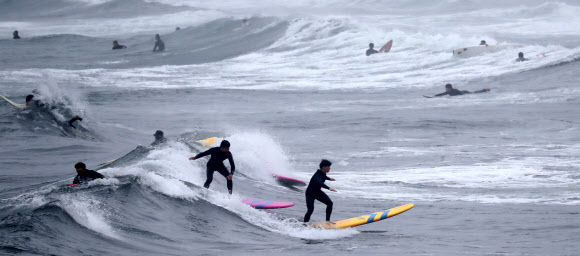 파도가 반가운 서퍼들