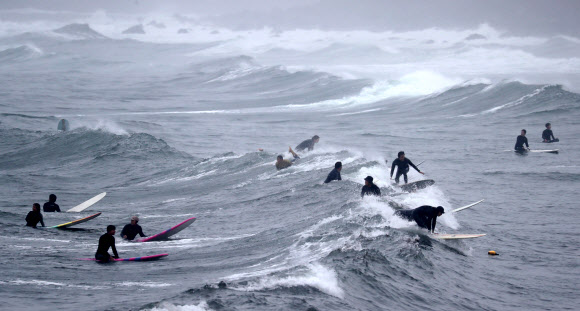 파도가 반가운 서퍼들