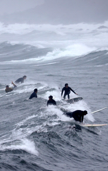 파도가 반가운 서퍼들