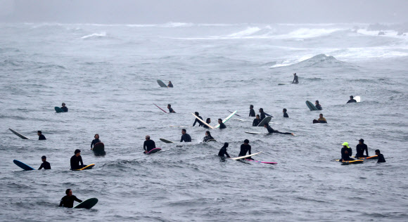 파도가 반가운 서퍼들