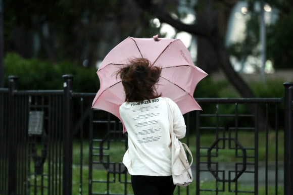 비 막기엔 역부족