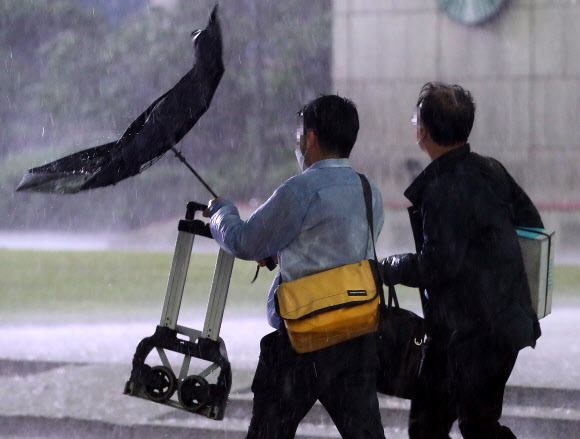 요란한 비 바람