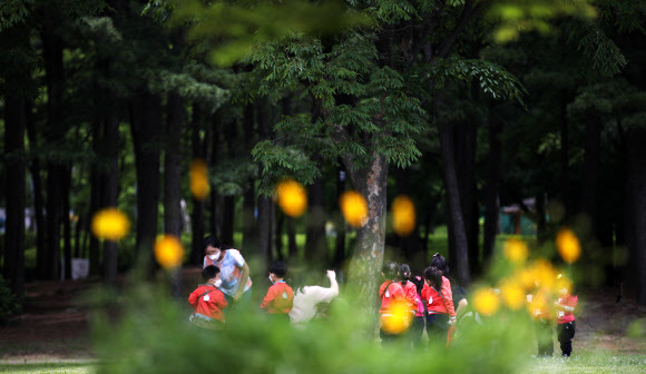 ‘푸름푸름’, 선생님과 숲속 탐험
