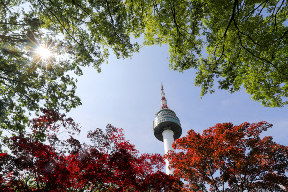 실록과 단풍의 공존