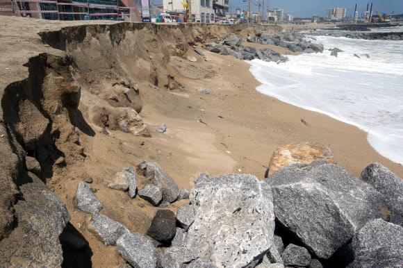 파도야 어쩌란 말이냐