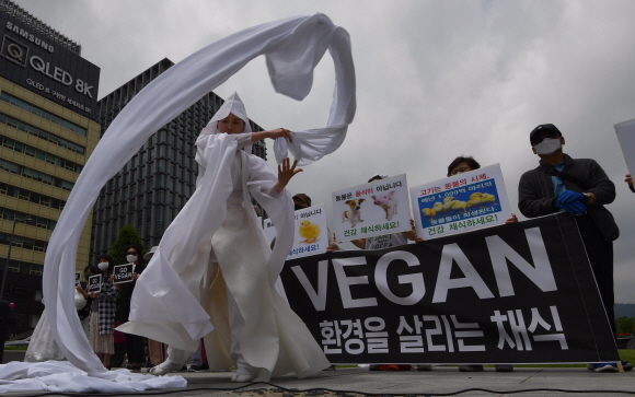 24일 서울 광화문광장에서 열린 동물진혼제에 참석한 비건을 지향하는 모든 사람들 소속 회원이 동물진혼제를 하고 있다. 2020.5.24 박지환기자 popocar@seoul.co.kr